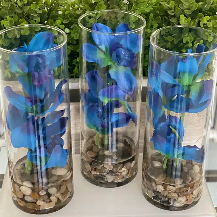 Blue Cymbidium Orchid Cylinder Glass Vase