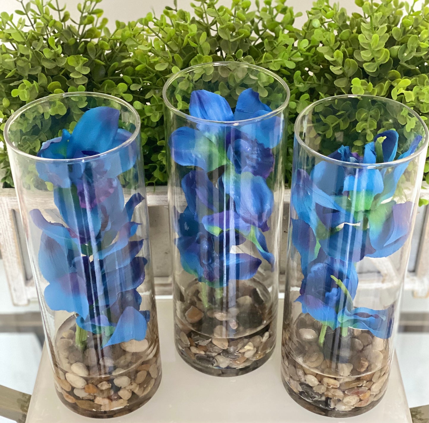 Blue Cymbidium Orchid Cylinder Glass Vase